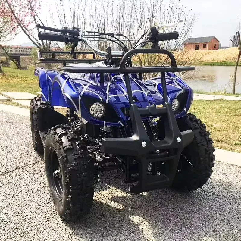 Chinese Kids 50cc 2-Stroke Engine Mini Electric Snowmobile 40km/h Touring Snow Mobile with Electric Start for Young Adventurers