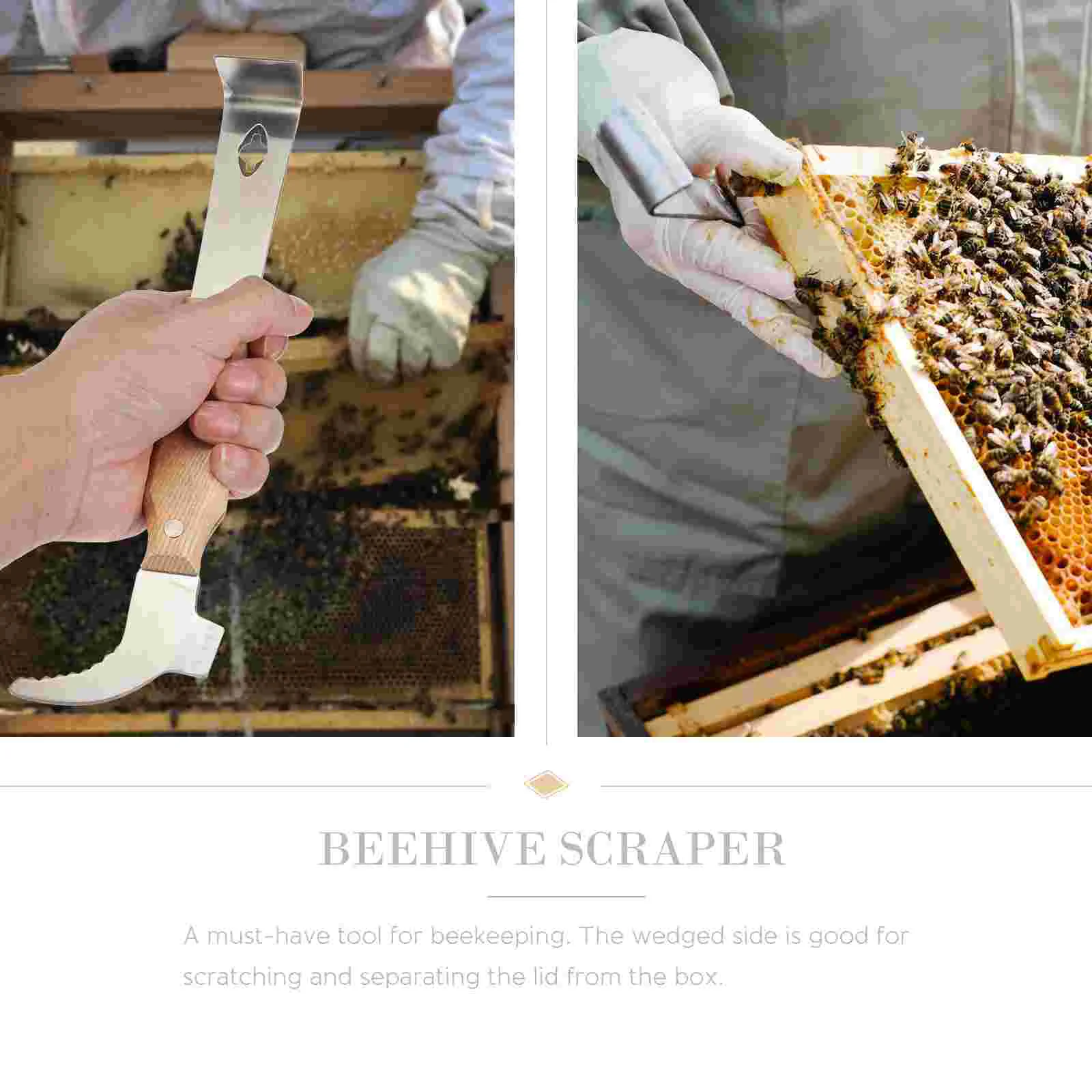 Hive Scraper Beehive Cleaning Frame Lifer Cleaner Tool Scraping Khaki Beekeeper