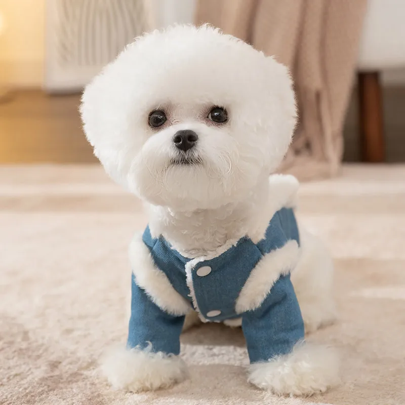 Winter Dog Clothes Cute Bear Traction Cotton Coat Teddy Warm Cotton Coat Puppy Cartoon Open Button Shirt Pet Thickened Clothes