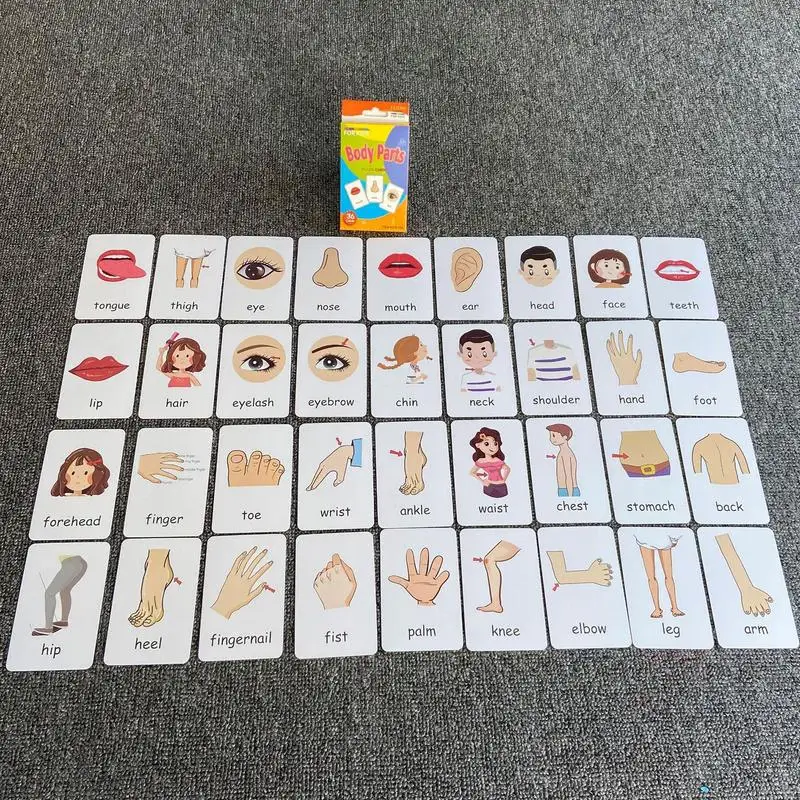 Flash Cards For Toddlers 36PCS Animal Sight Word Games For Kindergarten Preschool Body Parts Educational Flash Cards Montessori