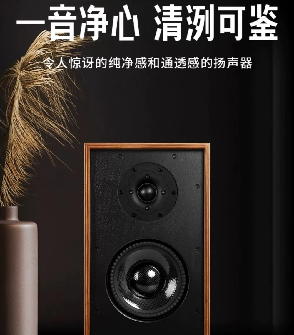 T602 Passive HiFi Bookshelf Speaker Carbon Fiber 2 Way Birch Plywood Audiophile