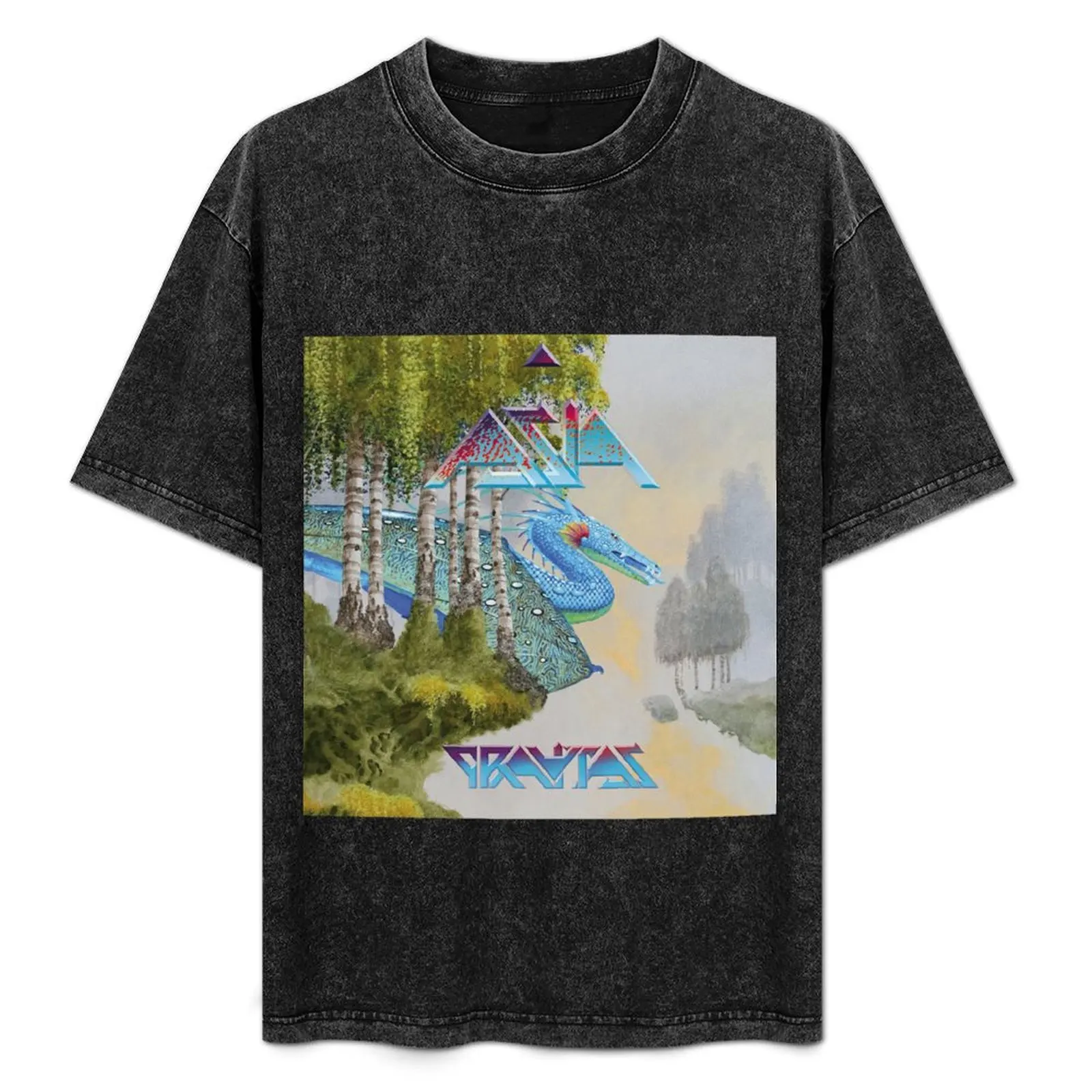 

Asia gravitas T-Shirt Soft Cotton Print T-Shirt