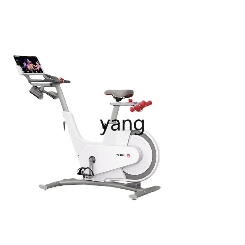 

Yjq Gym Home Smart Spinning Mute Magnetic Control Exercise Bike