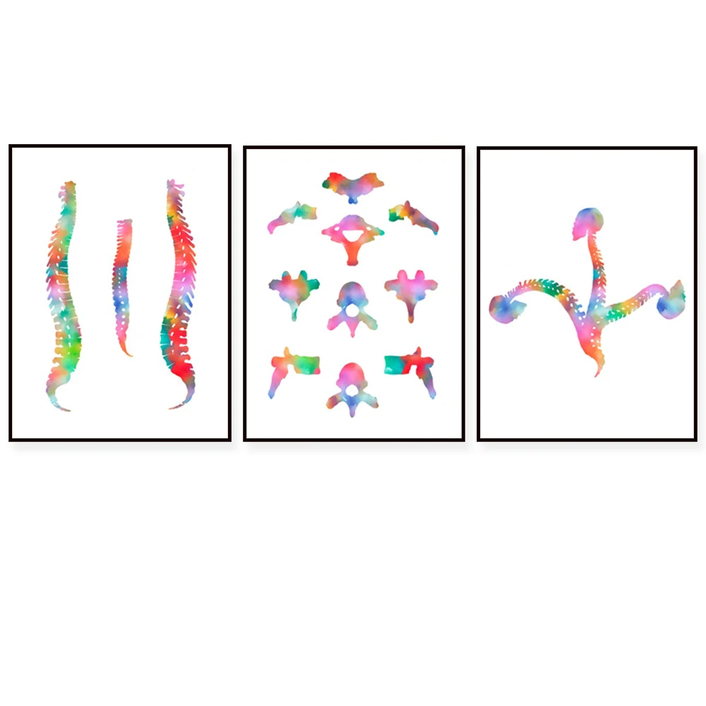 Vertebrae anatomy art, spine watercolor print medical poster for chiropractic clinic wall decor, orthopedic surgeon gift