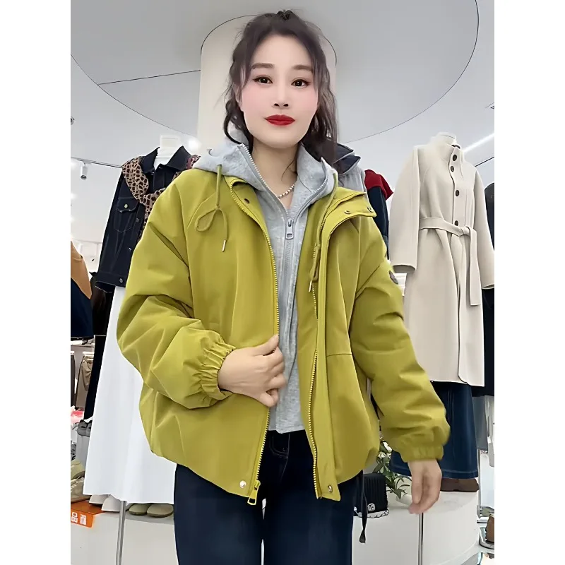 Loose Fake Two-piece Velvet Thickened Hooded Short Coat Women's Autumn Korean Version of Foreign Style College Style Jacket Top