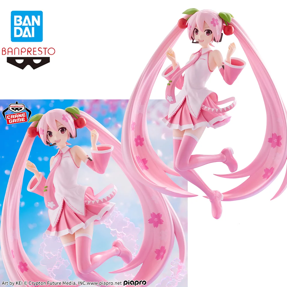 Figurines originales BANDAI Hatsune Miku BANPRESTO EVOLVE Sakura Miku en PVC, 22CM, modèle de jouet, cadeaux, en Stock