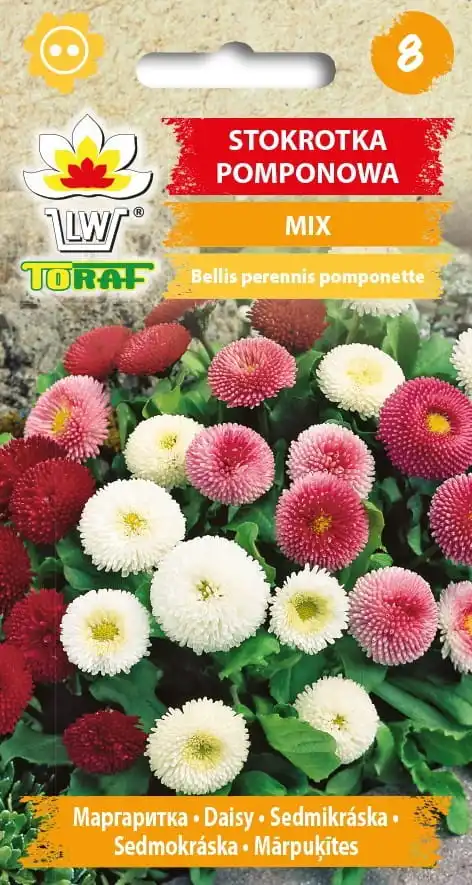 Pompón Daisy mezcla de semillas de flores para el hogar y el jardín 0,2g-TORAF
