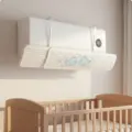 Cute Whale