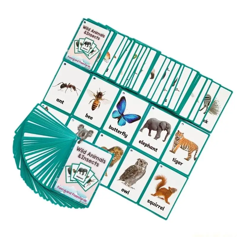 36Pcs Wildlife Insect Flash Cards For Kid Learning With Bright Pictures Words