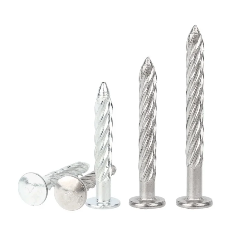 M8 201/304 Stainless Steel/Galvanized Round Head Anti-Theft Net Fixing Screw Nail/Fried Dough Twists Nail/Cement Nail