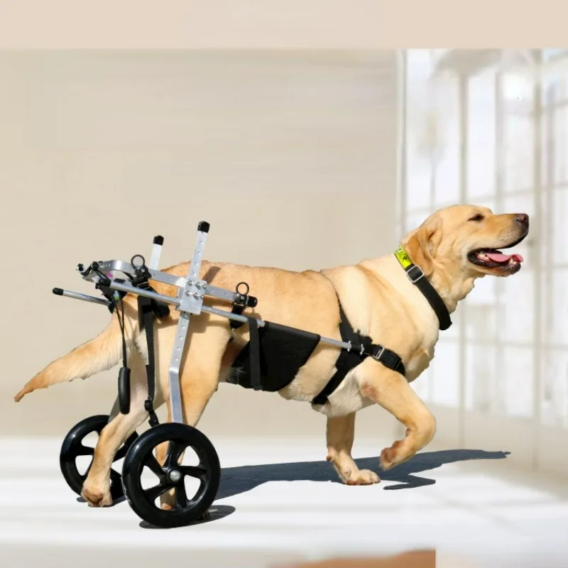 

Medium and Large Dog Wheelchairs, Hind Limb Rehabilitation Training Paralysed Disability Auxiliary Bracket, Dog Mobility Scooter