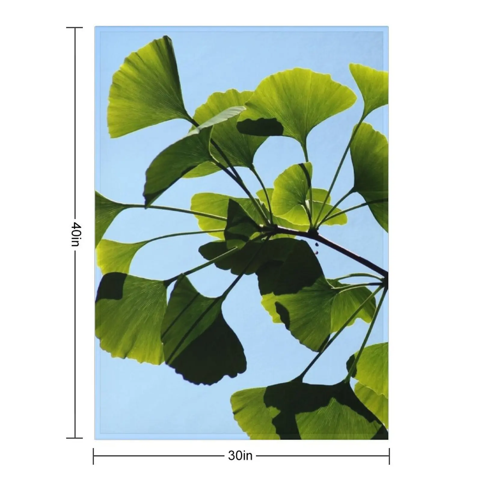 Gingko Biloba Tree Throw Blanket Shaggy Soft blankets and throws Plush Blankets