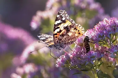 

1/18 1/24 Trx4M Liema 1,0-дюймовая шина-концентратор для альпинистского автомобиля, ступица из алюминиевого сплава Scx24 Fms (Bai Luchi + ступица с каплей воды)