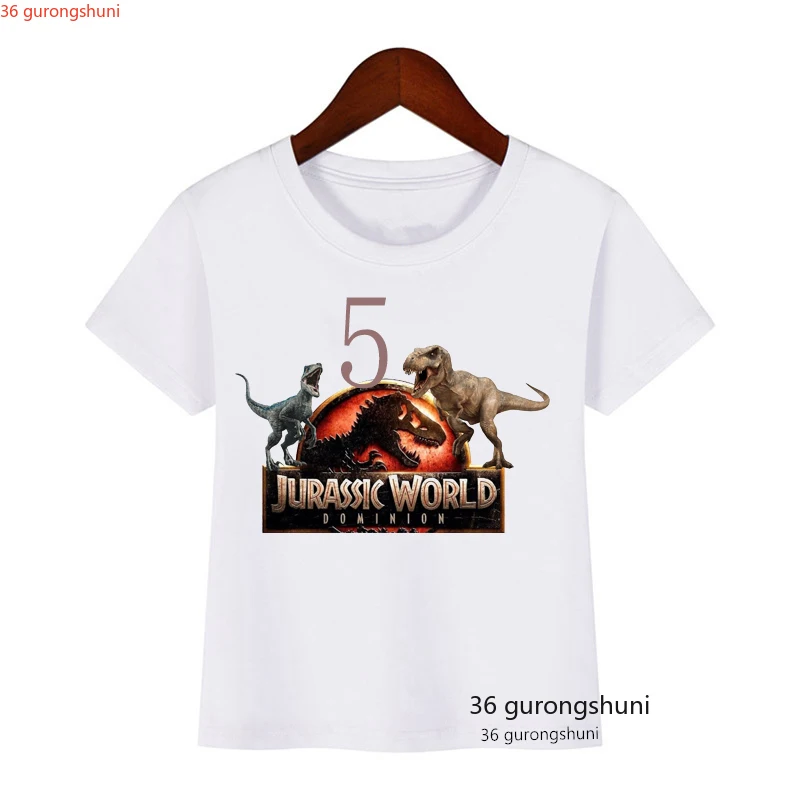 Jurassic Park Birthday 2-9th Shirts, Custom Dinosaur T-Shirts, Fashion Boys tshirts Funny Kids tshirts for Kids Birthday tops