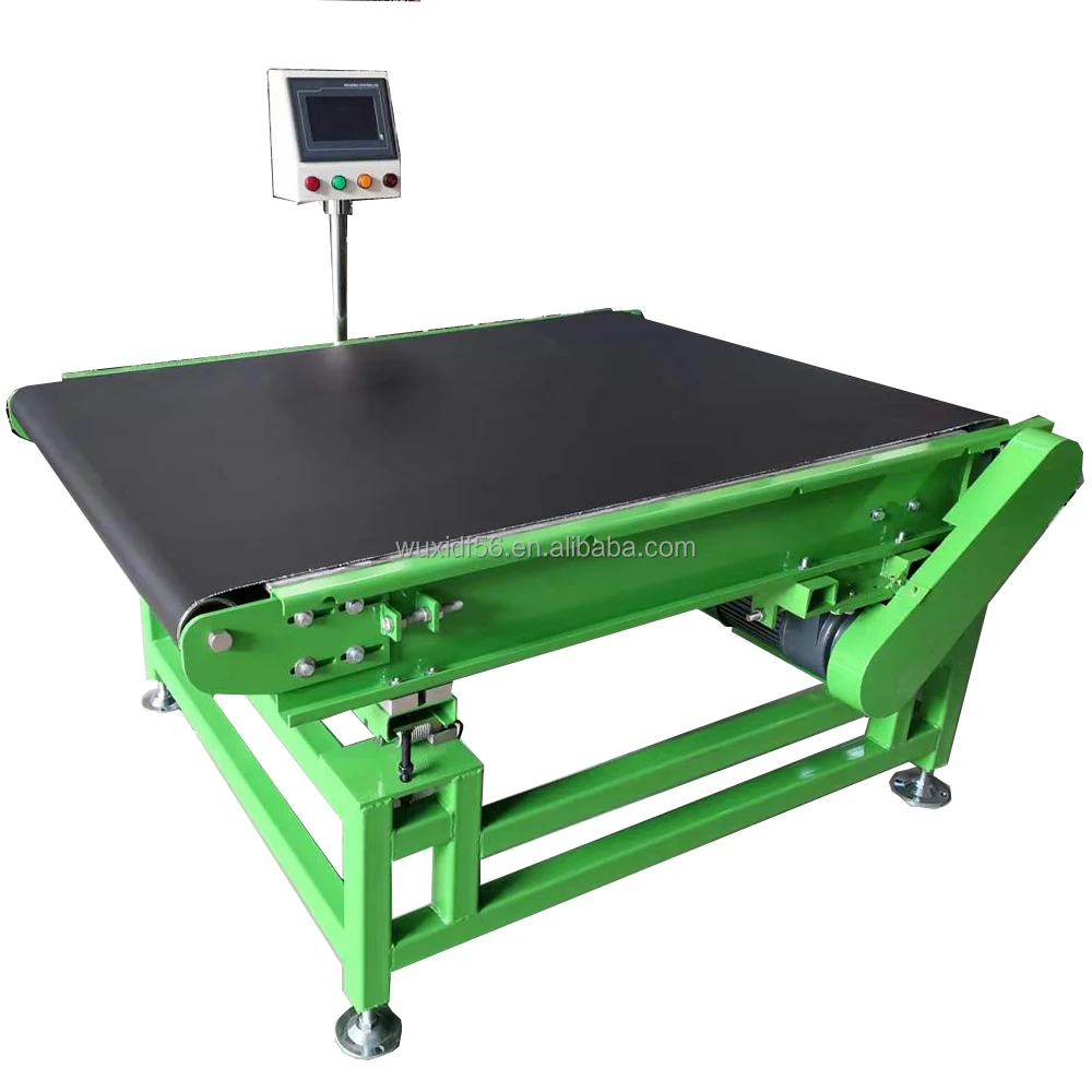 Dynamic and Static High Stillness Intelligent Belt Scale Conveyors for Hot Sale Sorting Weighing System