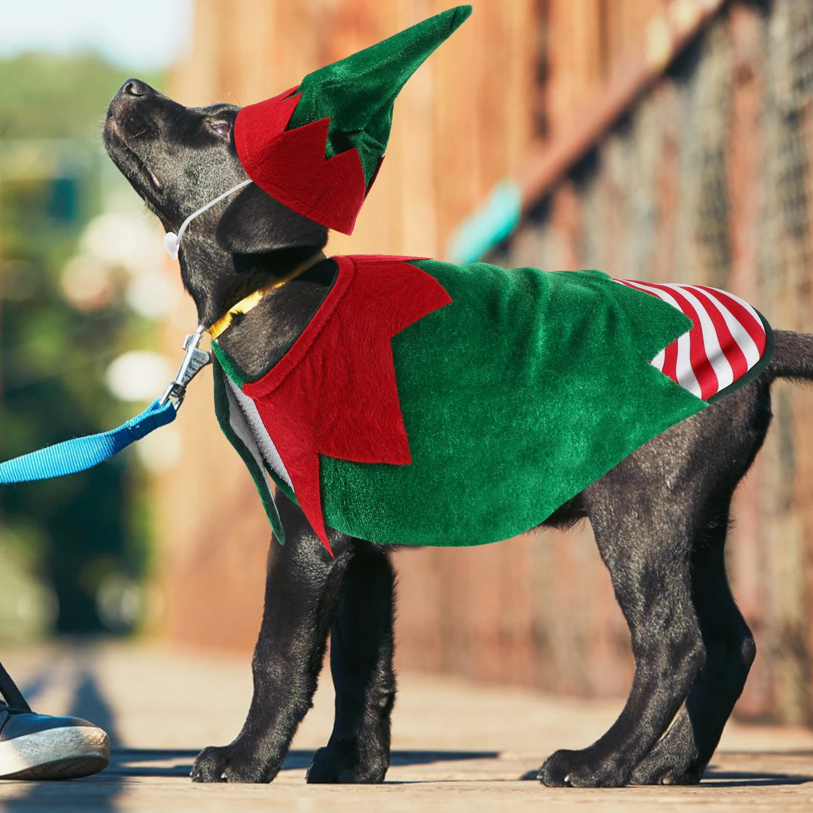 

Christmas Dog Clothes Green Small Size Pet Costume For Puppy Durable Outdoor Walking Party Wear Dog Christmas Cloth Pet