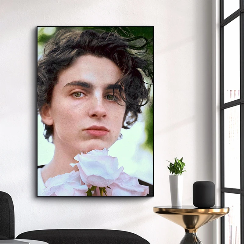 Timothee Chalamet Movie Star Posters Best Actor Retro Portrait Canvas Painting Wall Art Decoration Home Living Room Decoration