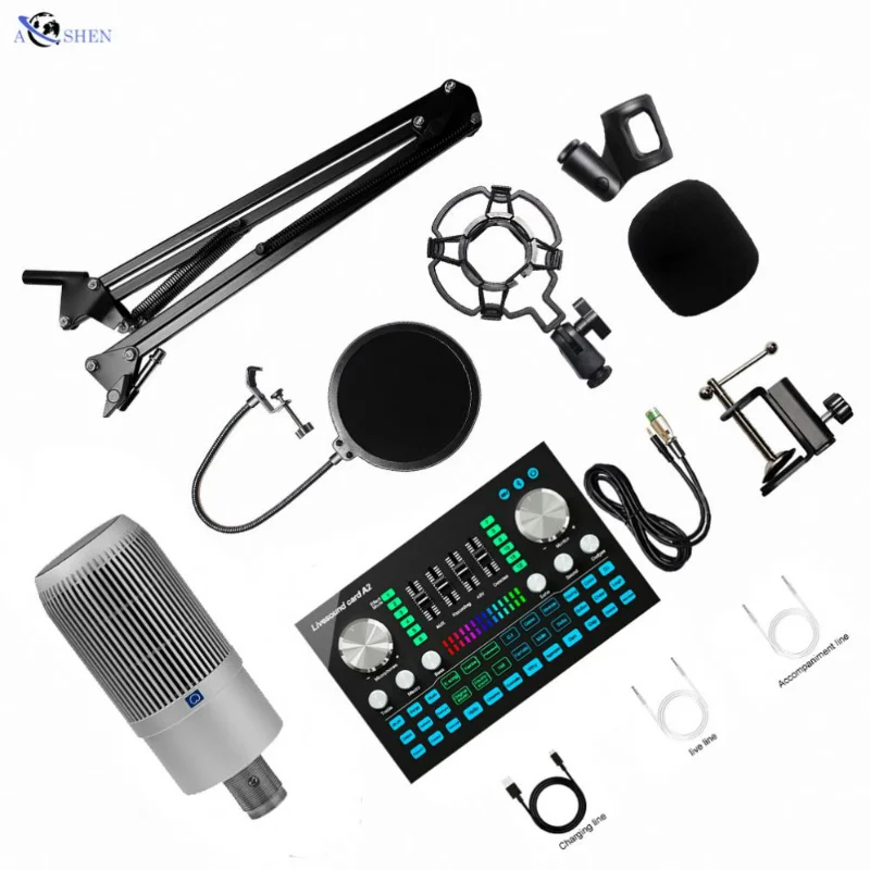 Professional Large Diaphragm Condenser Studio Microphone With Audio Interface External Livestream Broadcast Equipment