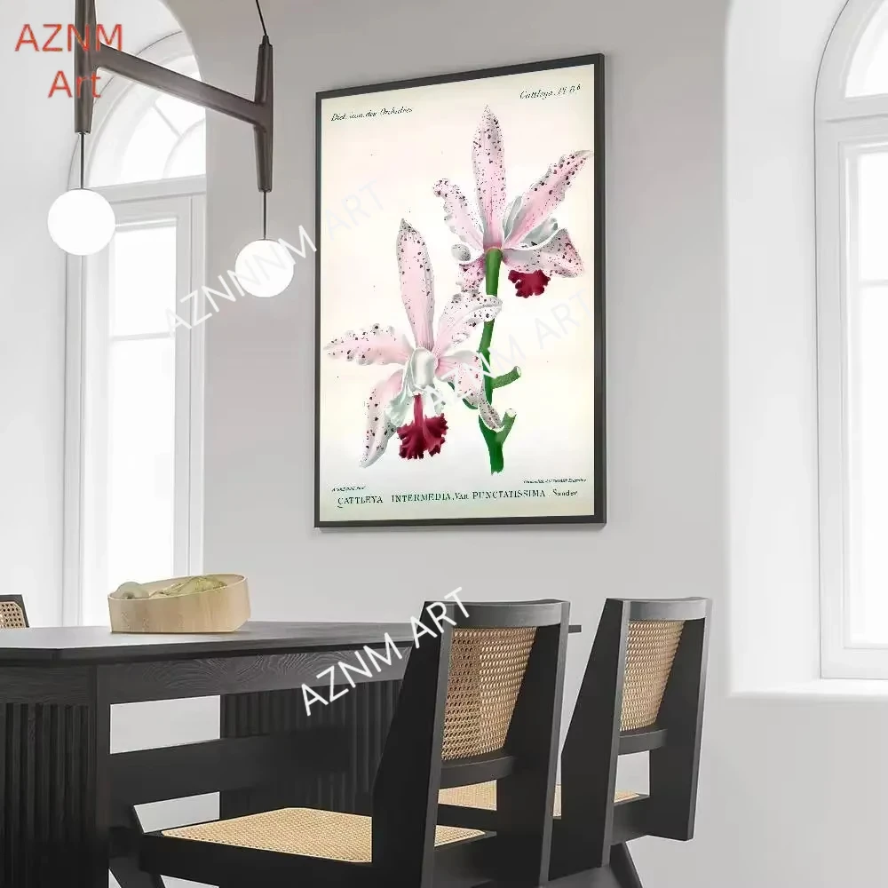1 Stück Blushfarbenes Crinum Barbados Lilie Vintage Botanisches Poster Kunst Wasserfestes Papier für Kaffeehaus Bar Zimmer
