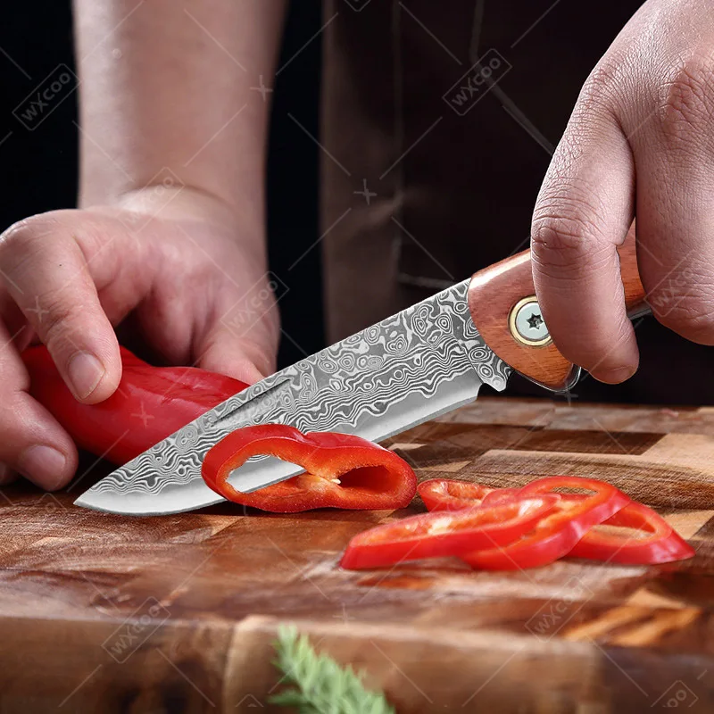 WXCOO Folding Knife Pocket Knife Stainless Steel for Household Tools Damascus Steel Fruit Vegetable Cutting Kitchen Knives