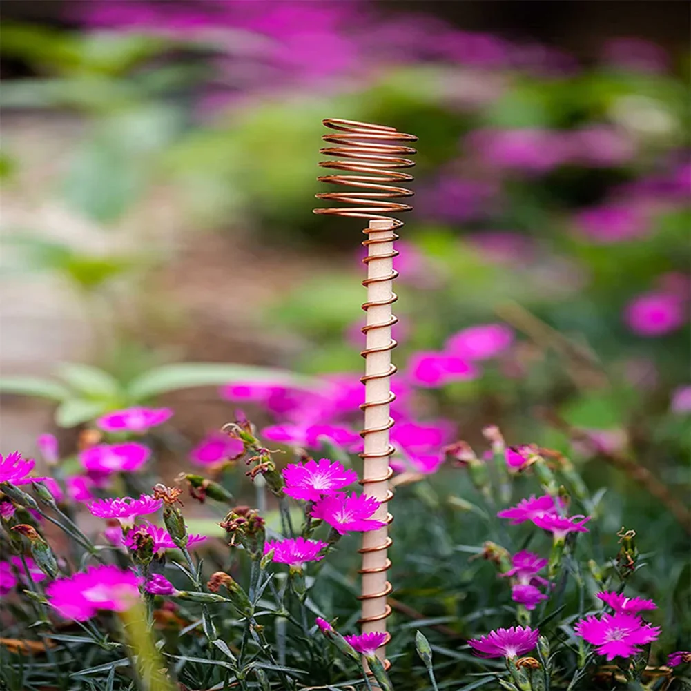 Piquet de plante de 12 pouces, anciers de culture électrique pour Lauren, pour soutenir le jardin