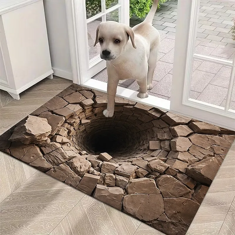3D Optical Illusion Doormat Deep Hole with Cracked Stone Effect 2D Flat for an Impressive Entryway Statement Rug  Welcome Mat
