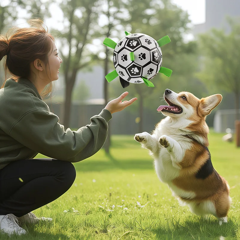 Damaly,Interactive Dog Soccer Toy with A Grip Ring, Durable Water Ball for Dogs, Dog Chasing and Playing Toy, Without Battery
