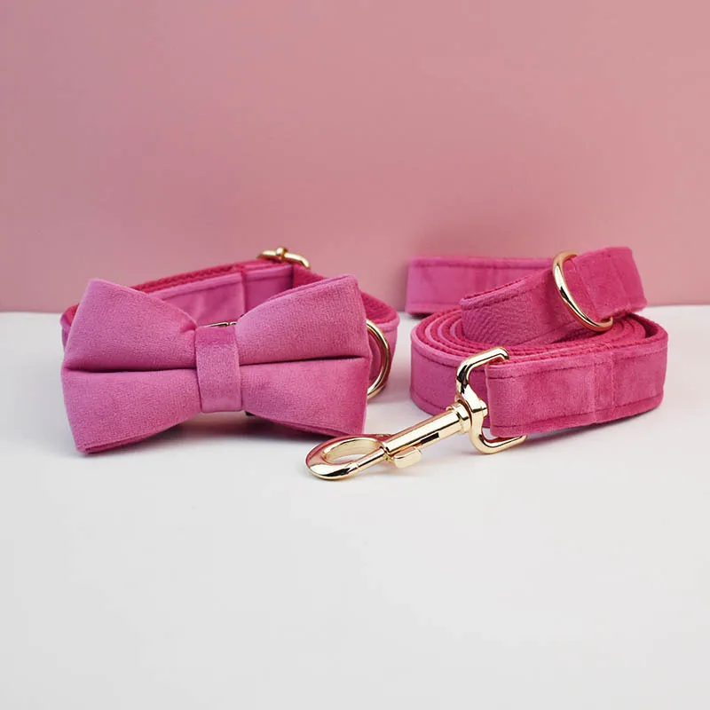 Samt-Designer-Hundehalsband und Leinen-Set für Hunde, personalisiertes Namensschild, Haustierzubehör, Samt