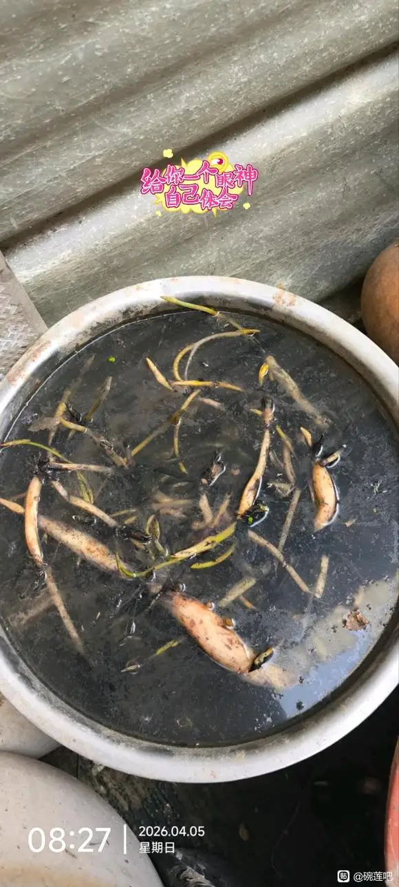 

4PCS 125mm 1/10 for Monster Truck Tire & Wheel Hex 12mm For Trxs Tamiya Kyosho HPI HSP Savage XS TM Flux LRP