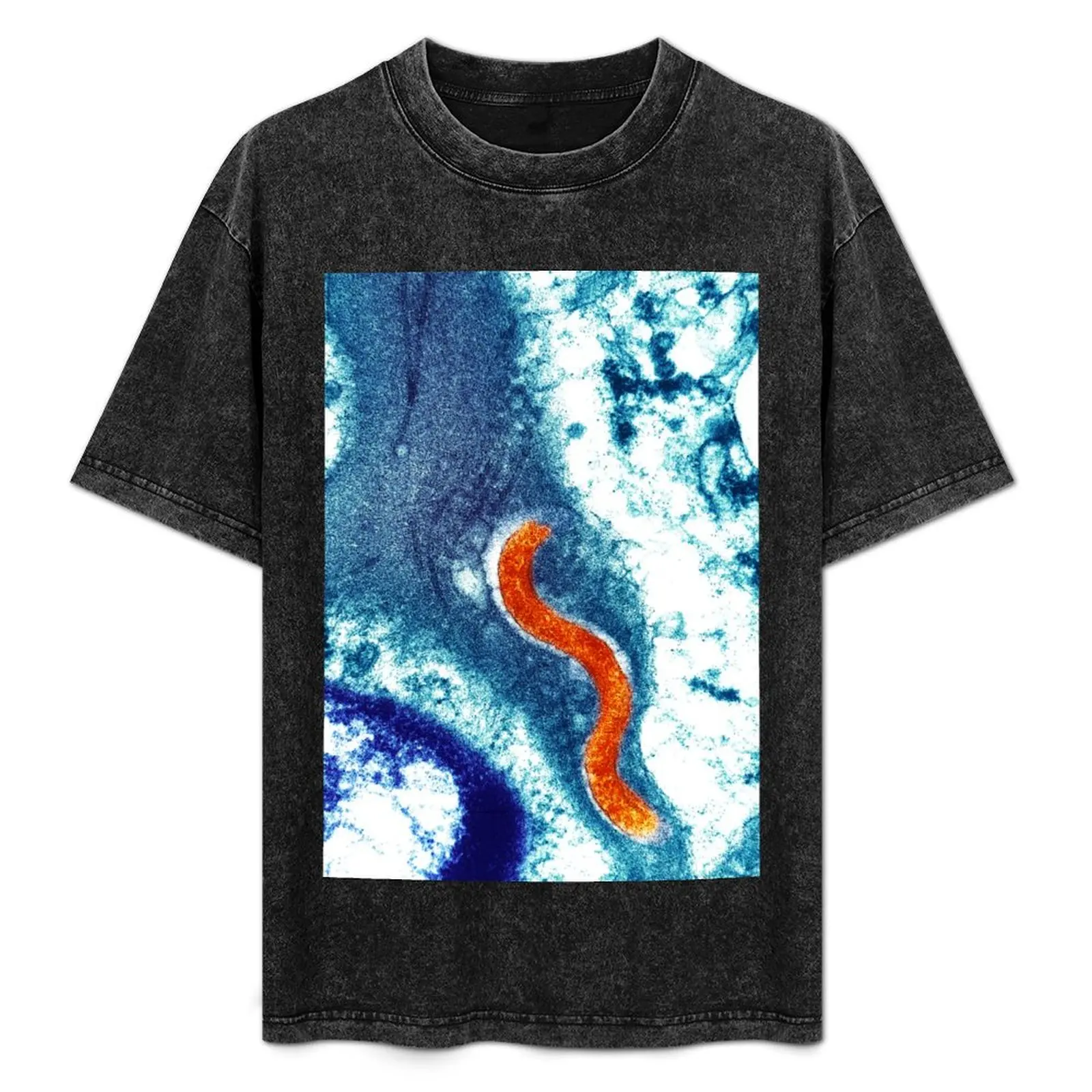 

Syphilis bacterium (Treponema pallidum) (B220/1719) T-Shirt graphic t shirts sweat anime stuff anime shirts men
