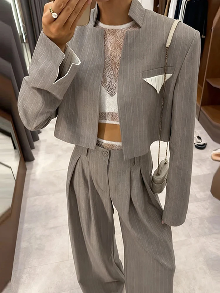 

Женская куртка с воротником-стойкой и брюками, офисный костюм, полосатый весенний наряд с длинными рукавами и принтом, модный уличный прямой комплект из 2 предметов