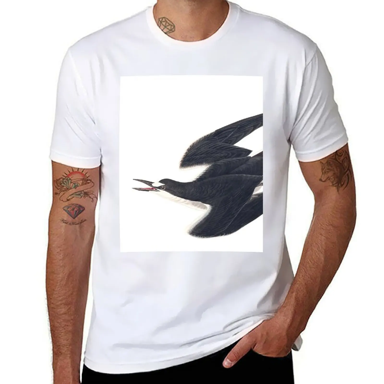 

Tern - Audubon James Sooty John T-Shirt Lightweight Print T-Shirt