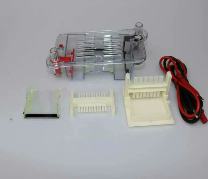 Horizontal Agarose Gel Electrophoresis Tank 60x60mm 120x120mm DNA/RNA Separation Lab Teaching Instrument for Molecular Biology