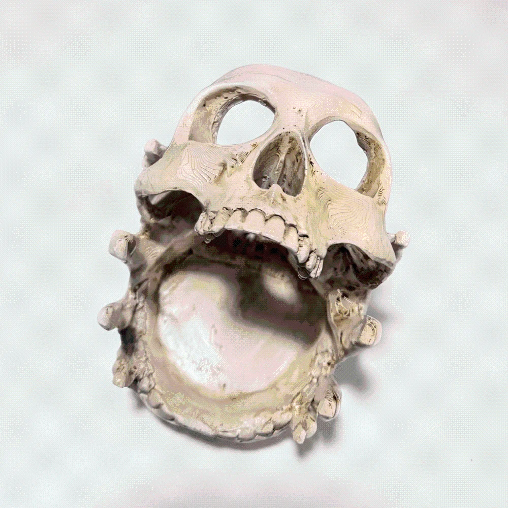 Resin Skeleton Head Jewelry Holder Multifunctional Handcrafted Halloween Resin Craft Realistic Textured Spooky Skull Head Bowl