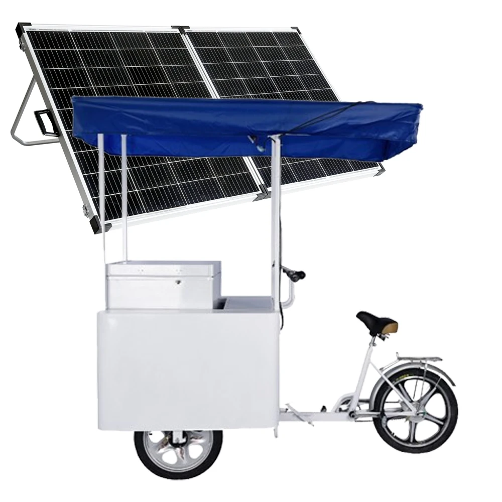 

Factory Price Electric Ice Cream Tricycle Street Food Cart Beer Cart New Refrigerated AC 12/24V Freezer Bike with Solar Panel