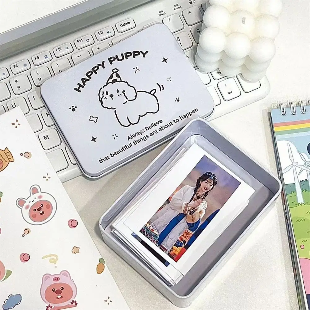 Cartoon Iron Storage Box Big Capacity Small Card Storage Box Desktop Storage School Stationery Kpop Photocards