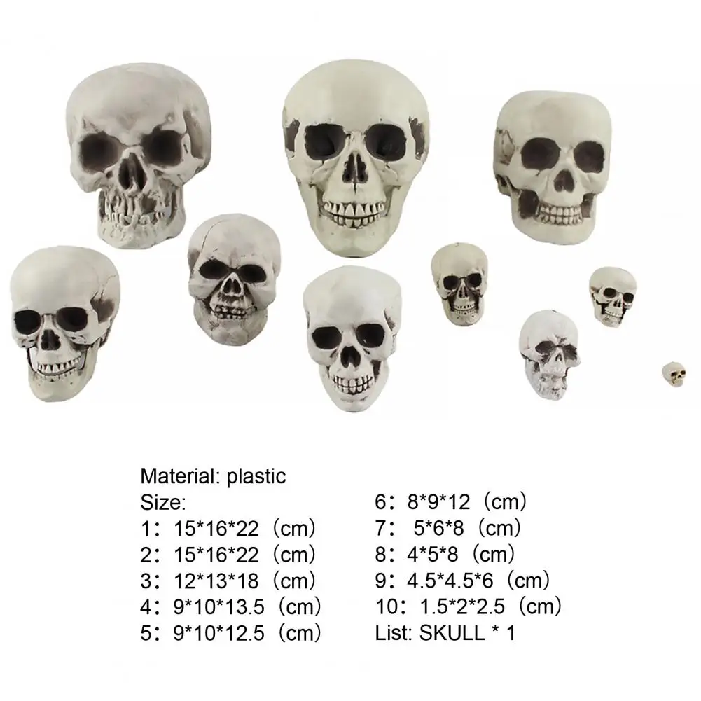 Wear-resistant Exquisite Workmanship Human Skull Statue Head Bone Model for Bar