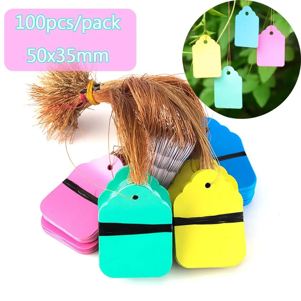 100pcs Colorful PVC Hanging Plant Tag Marker Signs with String Price Tag Writable Garden Decoration Garden Label Outdoor