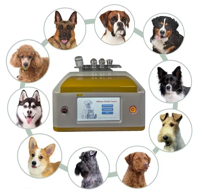 Veterinary B Cure Laser Vet Device for Pet Dog Horse Arthritis Treatment 980 Nm Physical Therapy Equipments