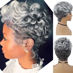 Synthetic Hair Short Curly Wigs for Black Women Natural Hairstyles Gray Color Woman Wig with Bangs Daily Grey Ombre White Wig