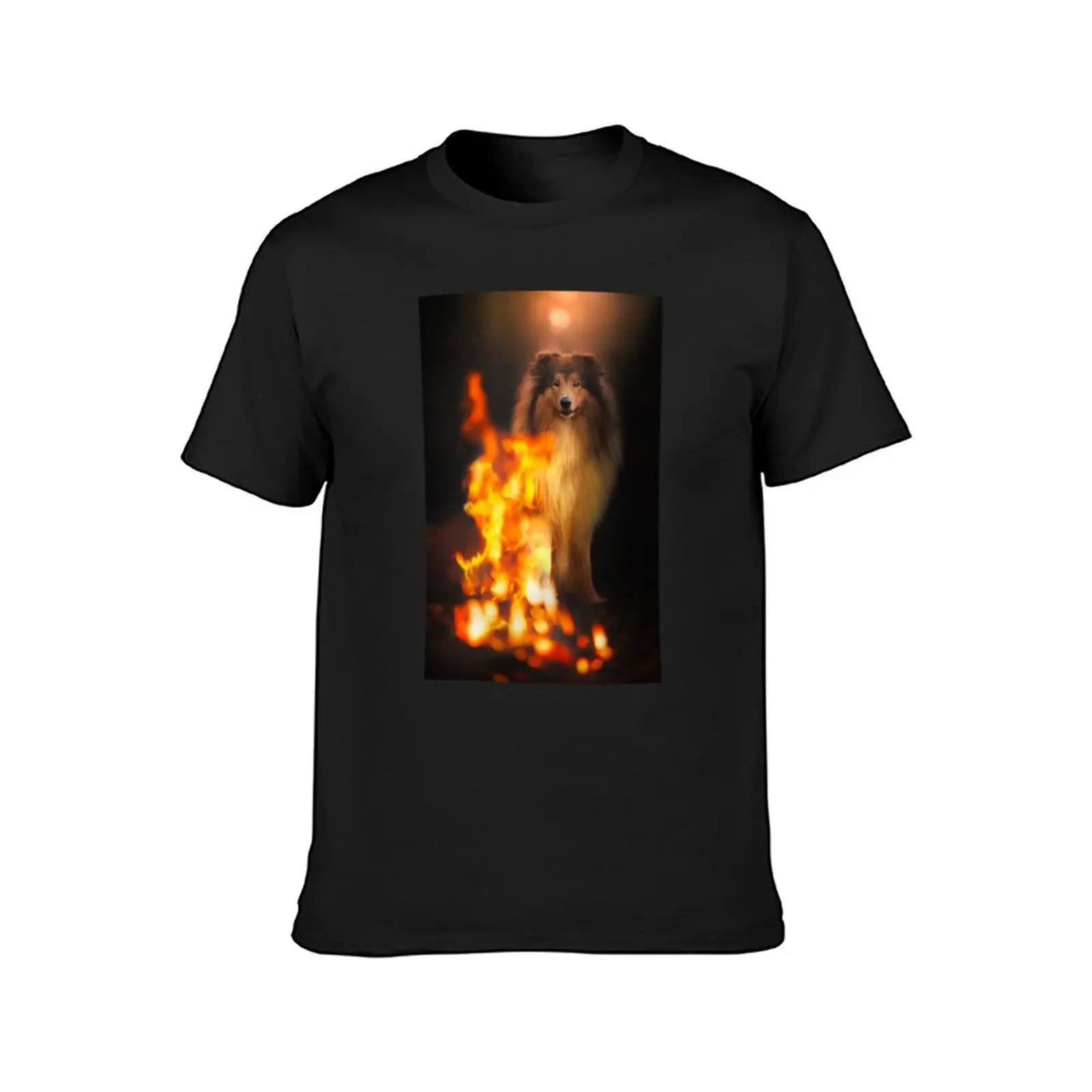 Rough Collie dog, fire, photo, dog photography T-Shirt tees for a boy t shirts for men graphic