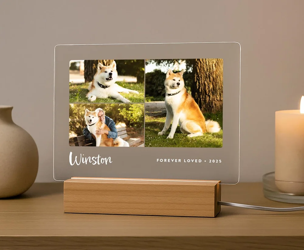 

Custom Dog Photo Plaque Pet Memorial Gift with LED Light Pet Loss Sympathy Keepsake Personalized Remembrance Gift