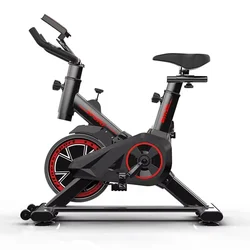 Cheap Price Gym Exercise Bicycle Indoor Mini Spinning Bike with Flywheel and Sweat-Proof Seat