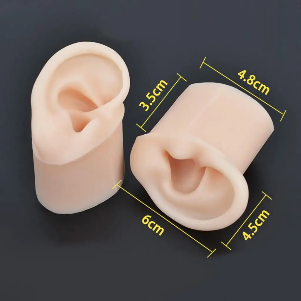 

Silicone Ear Model Flexible with Base Teaching Instruction Delicate Texture