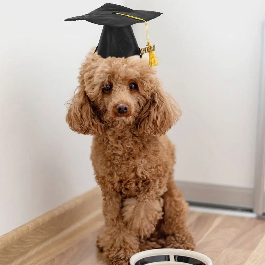 

2 Pcs Bachelor's Doggy Cute Graduate Cap for Graduation Dogs Caps Accessories Model Dad