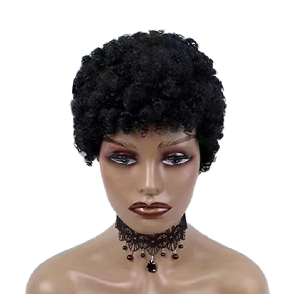 Short Afro Kinky Curly Human Hair Wig Full Mechanism Afro Curly Remy Wigs for Black Women African American Wigs 150 Density