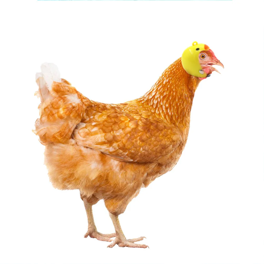 

Chicken Bird Headgear Pet Safety Cap Protection For Hens Adjustable Bright Color Comfortable Plastic Hard Hat For Small