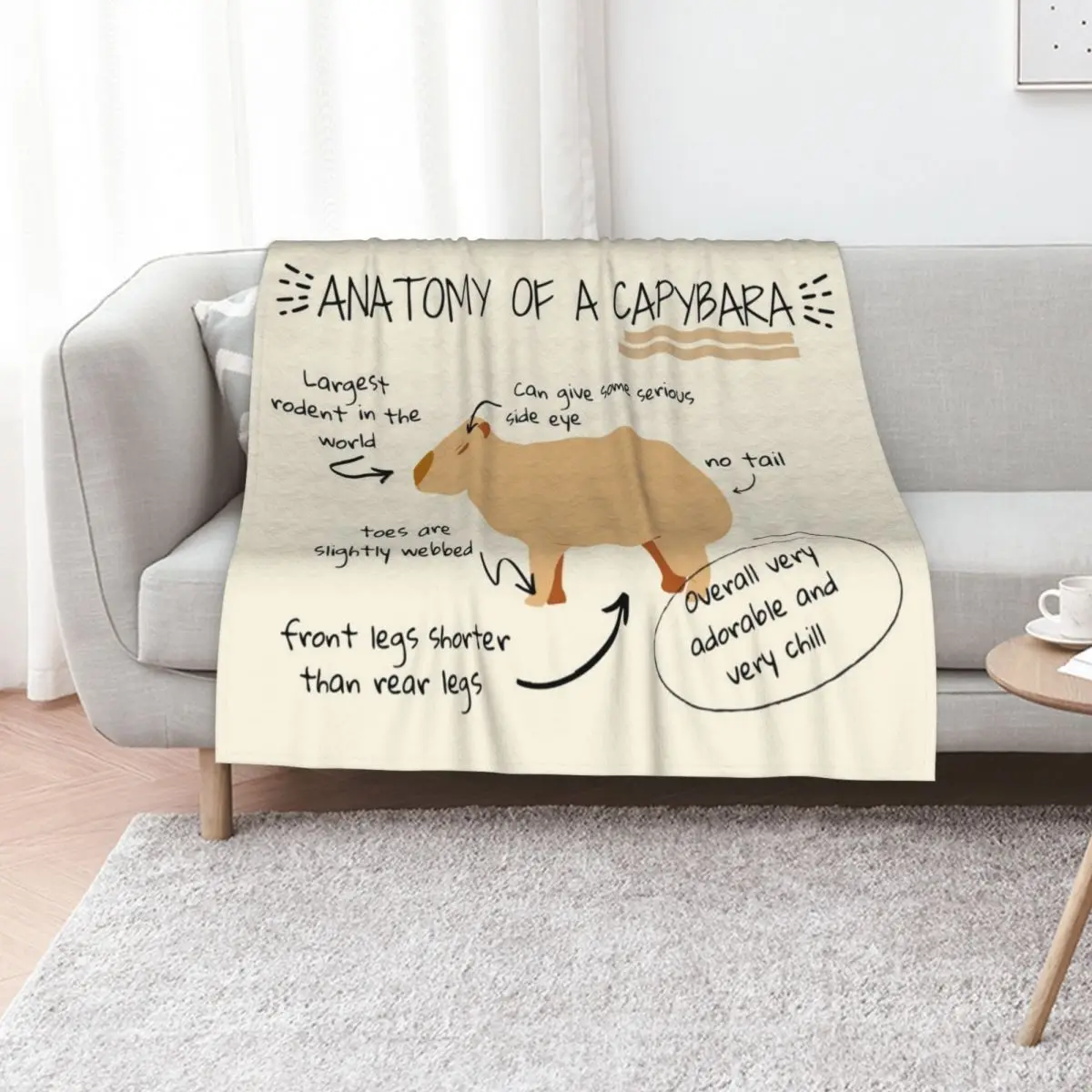 Anatomy of a capybara Throw Blanket Tourist valentine gift ideas Luxury St sofa bed blankets ands Decorative Throw Blankets