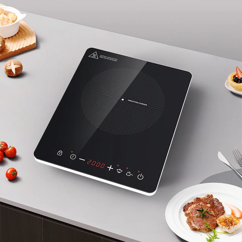 2000W Single Induct…