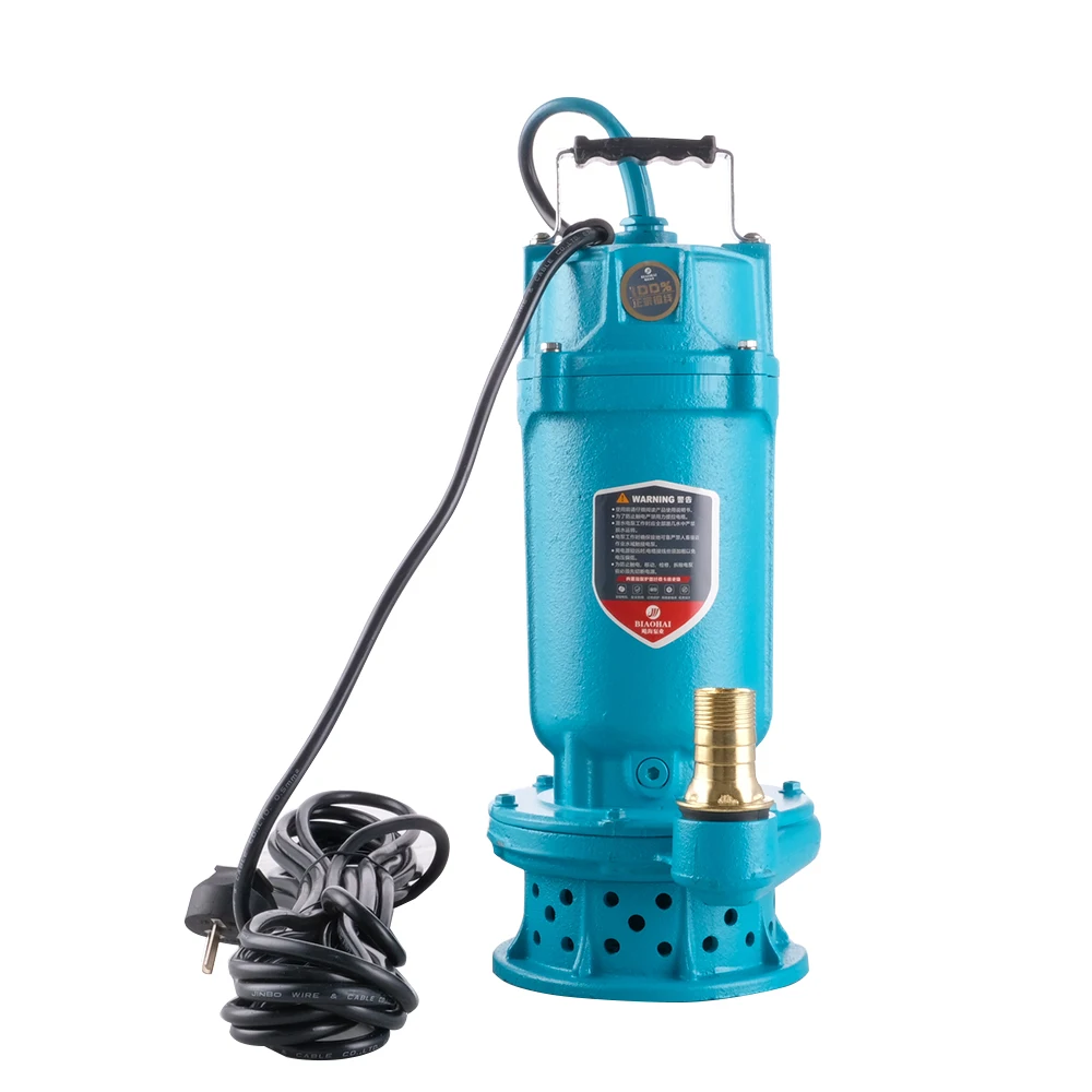 

QDX1.5-32-1.1 Economic Submersible Electric Pumps Single Stage Centrifugal Pond Pump Submersible Pump